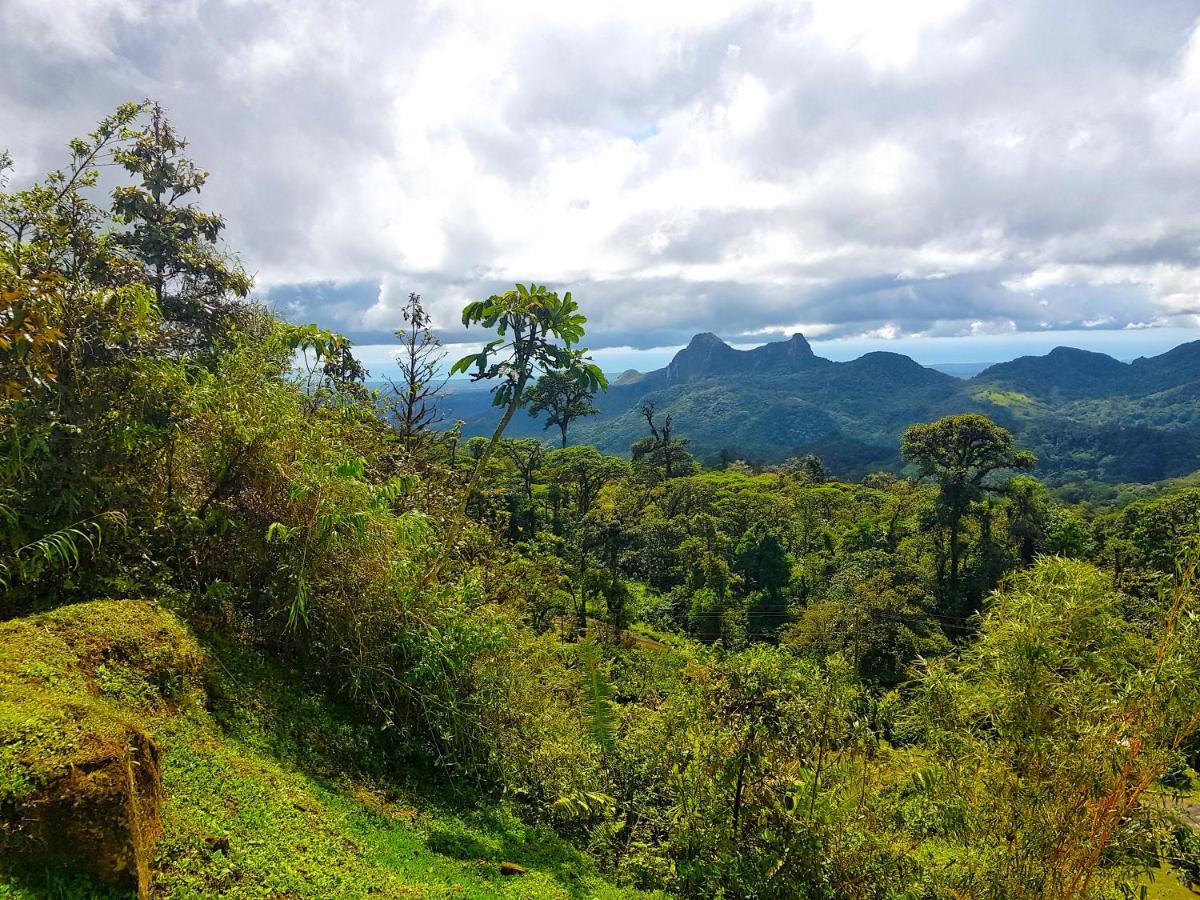 Tower Studio In The Treetops In Altos Del Maria Panama El Picacho Екстер'єр фото